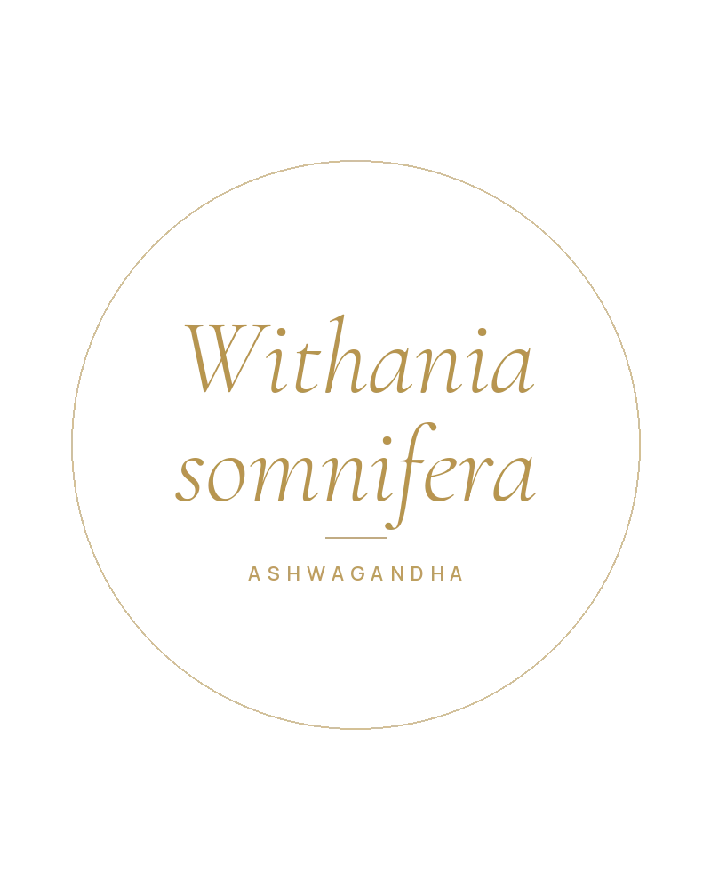 Ashwagandha