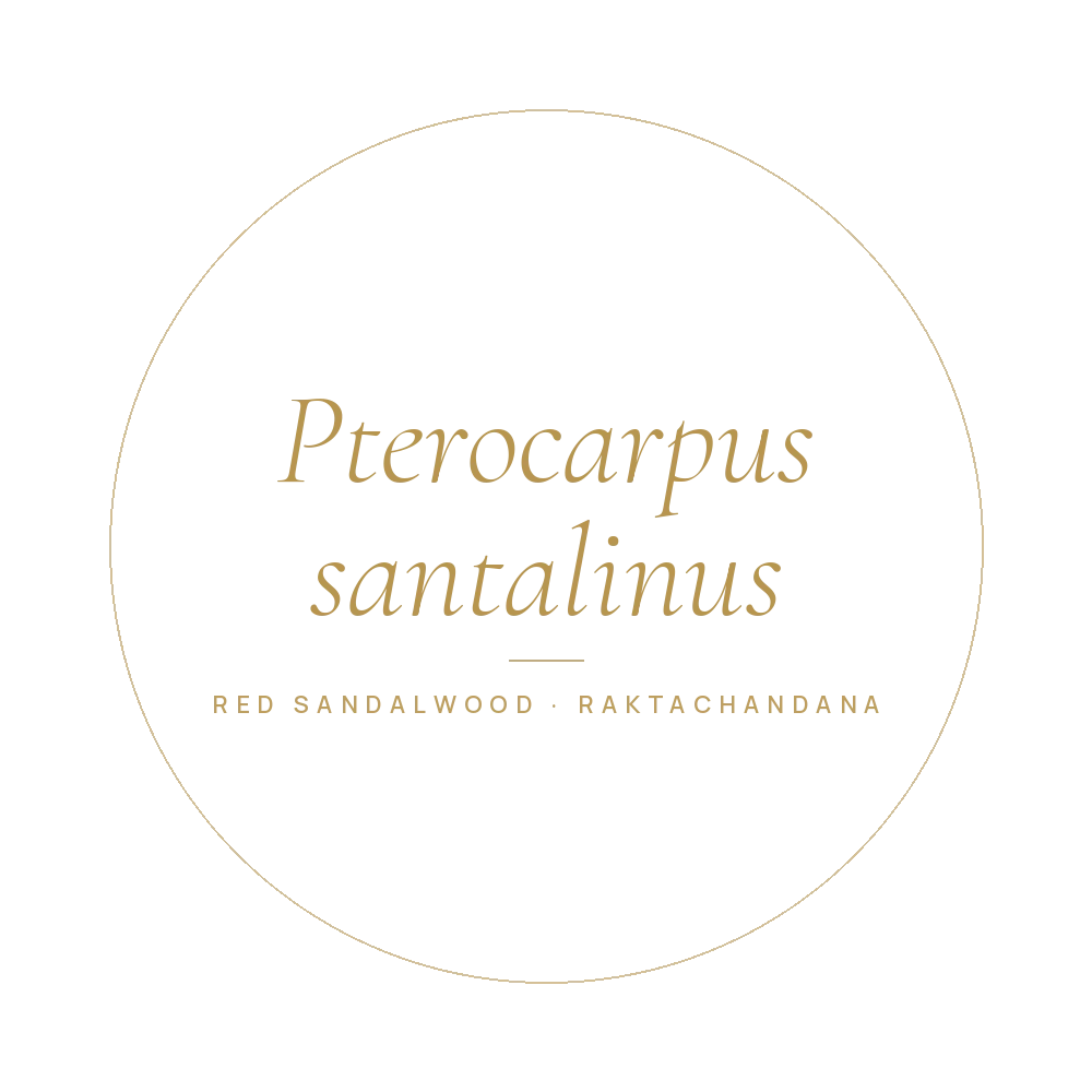 Red sandalwood